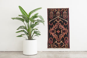 2x4 Persian Rug | ADLAN