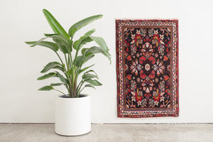 2.5x4 Persian Rug | SURAA