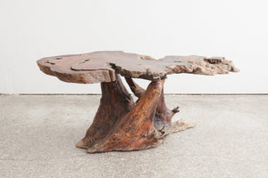 Live Edge Trunk Table