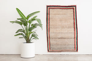 3x4.5 Persian Rug | ARTIN