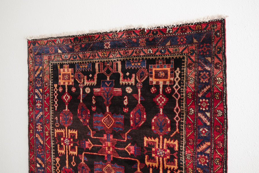 5x7.5 Persian Rug | FARVAD