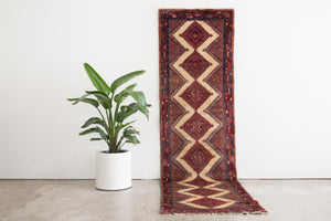 3x10 Persian Rug | ARJAN