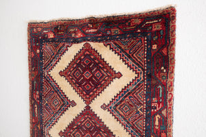 3x10 Persian Rug | ARJAN