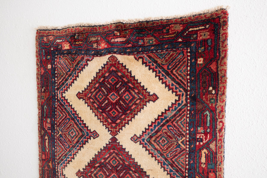 3x10 Persian Rug | ARJAN