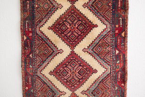 3x10 Persian Rug | ARJAN