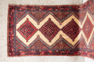3x10 Persian Rug | ARJAN