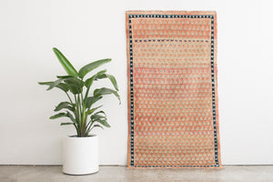 3.5x6.5 Persian Rug | BEHROUZ