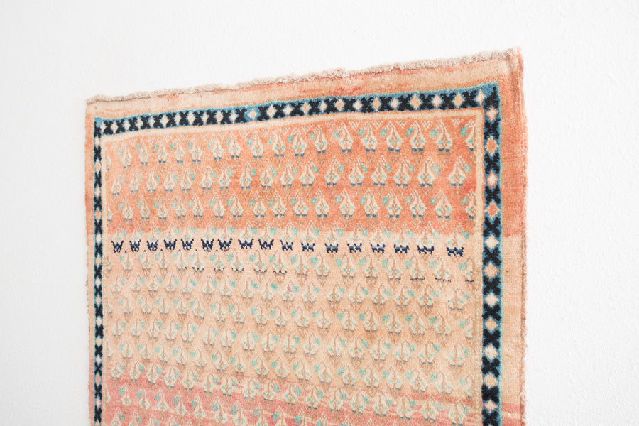 3.5x6.5 Persian Rug | BEHROUZ