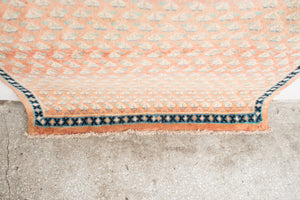 3.5x6.5 Persian Rug | BEHROUZ