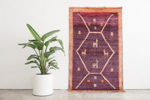 4x6 Persian Rug | DELIR