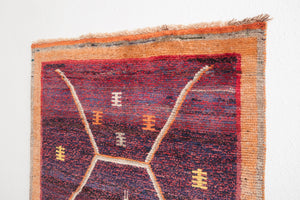 4x6 Persian Rug | DELIR