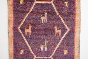 4x6 Persian Rug | DELIR