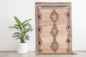 4.5x8 Persian Rug | DARYUSH