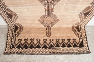 4.5x8 Persian Rug | DARYUSH