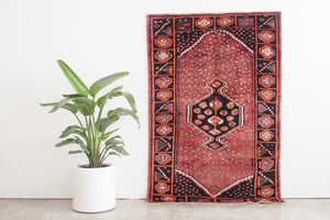 4x6.5 Persian Rug | FARHAN