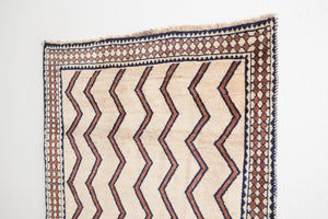 4x7 Persian Rug | DANESH