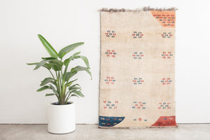 4x6.5 Persian Rug | FARAMIN