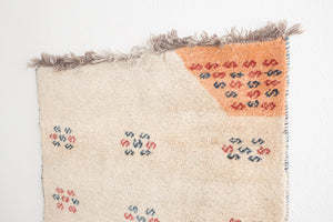 4x6.5 Persian Rug | FARAMIN