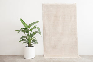 4x7 Nepali Rug | NIRAL