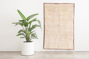 3x5 Persian Rug | BAVAR