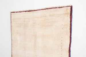 3x5 Persian Rug | BAVAR