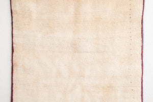 3x5 Persian Rug | BAVAR