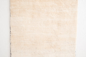 2.5x4 Persian Rug | ERFAN