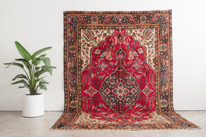 7x10 Persian Rug | BARZIN