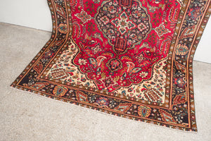7x10 Persian Rug | BARZIN