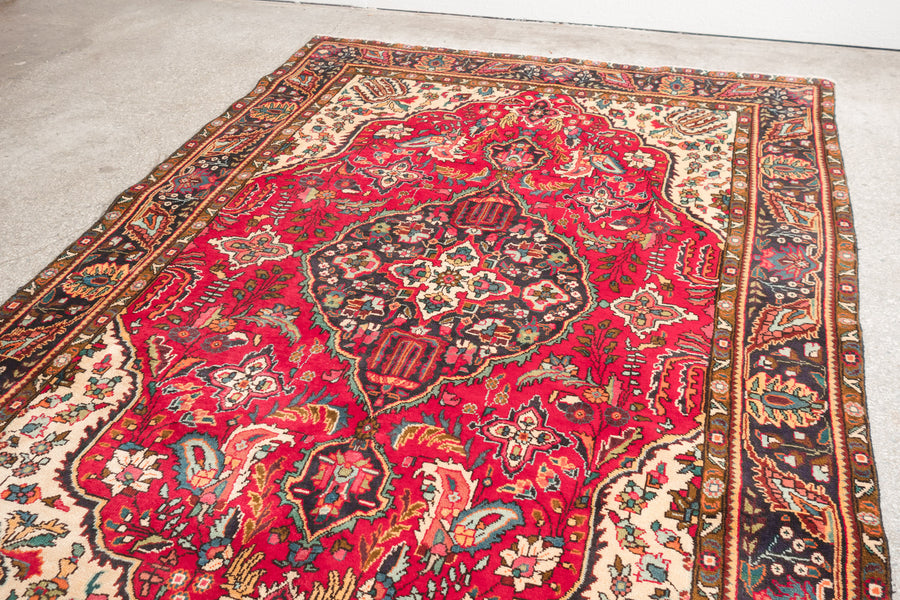 7x10 Persian Rug | BARZIN