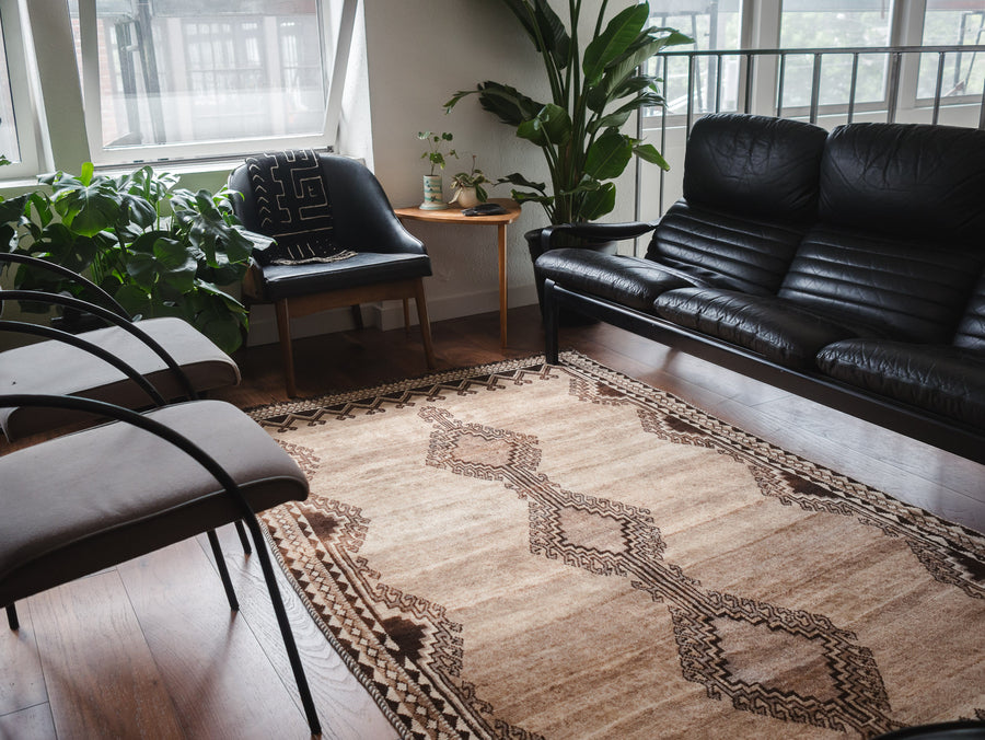 4.5x8 Persian Rug | DARYUSH