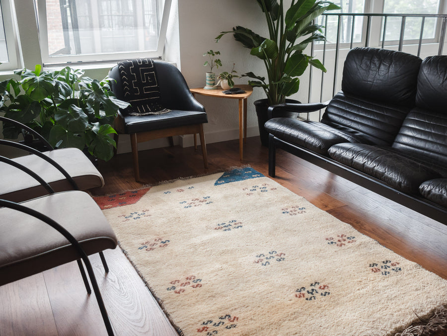 4x6.5 Persian Rug | FARAMIN