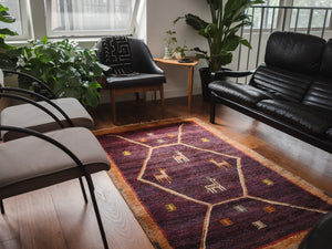 4x6 Persian Rug | DELIR