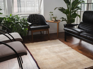 3x5 Persian Rug | BAVAR