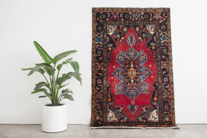 4.5x7 Persian Rug | HANI