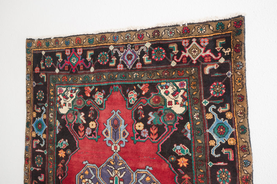 4.5x7 Persian Rug | HANI