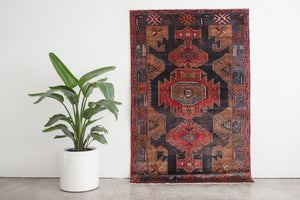 4.5x6.5 Persian Rug | HAMED