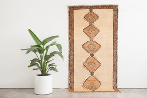 4x7 Persian Rug | FAZEL