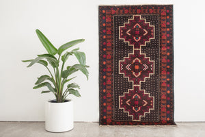3.5x6 Pakistani Rug | ZAHUR