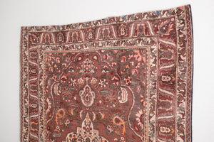 5.5x9 Persian Rug | HAJIR