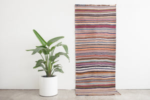 3x7.5 Persian Rug | FARSHIN