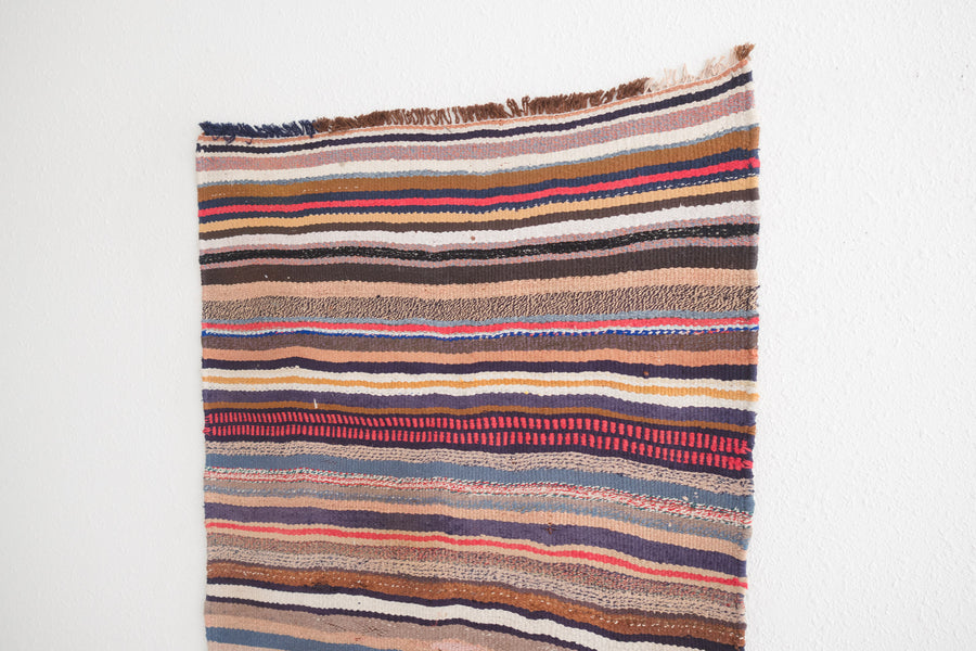 3x7.5 Persian Rug | FARSHIN