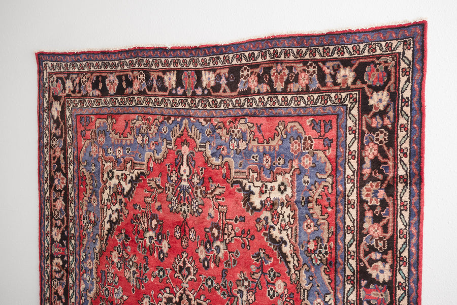 7x10 Persian Rug | HEYDAR