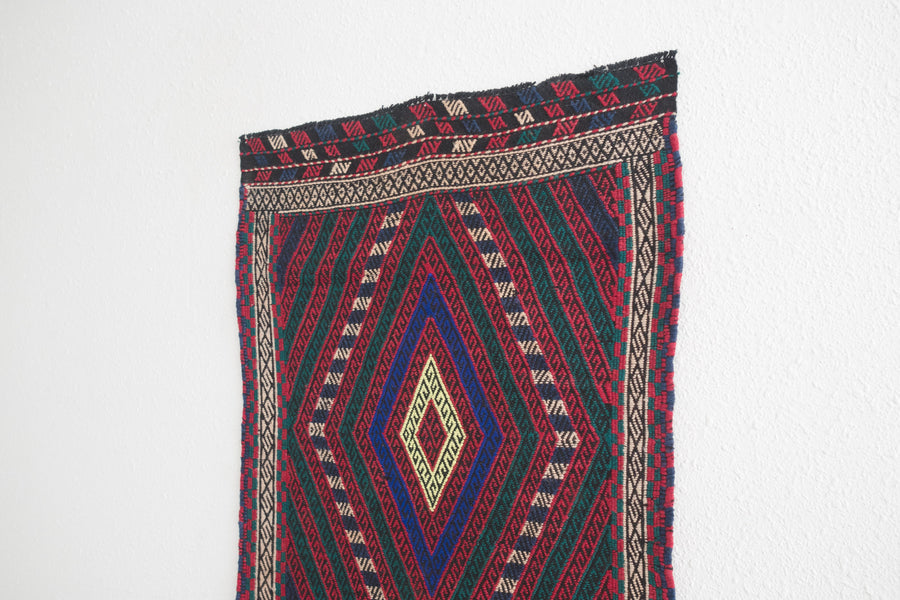 2.5x6.5 Persian Rug | ERAJ