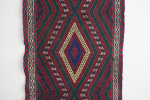 2.5x6.5 Persian Rug | ERAJ