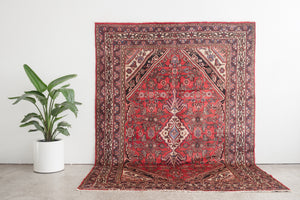 7x10 Persian Rug | IZAD