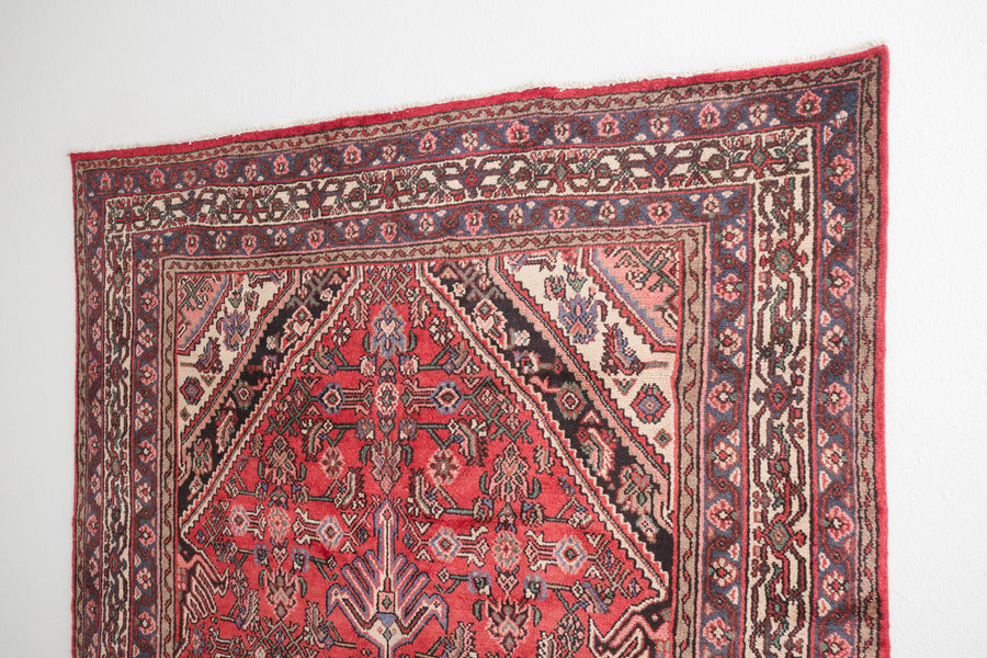 7x10 Persian Rug | IZAD