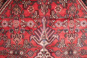 7x10 Persian Rug | IZAD