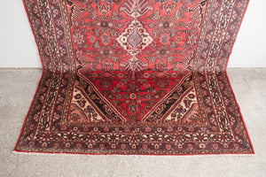 7x10 Persian Rug | IZAD