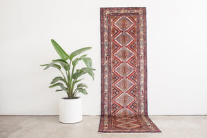 3x9 Persian Rug | HATEF
